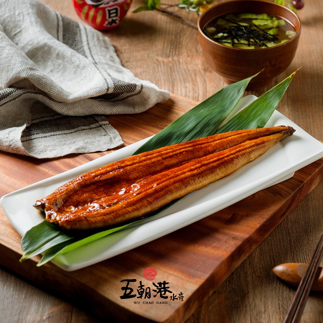 外銷日本蒲燒鰻魚