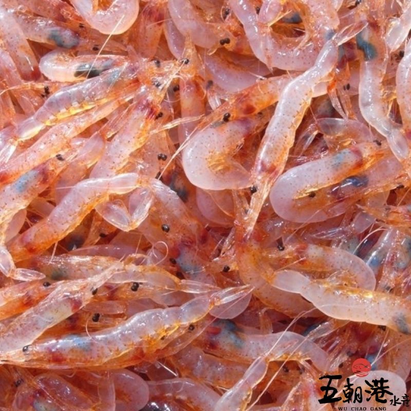 冷凍櫻花蝦
