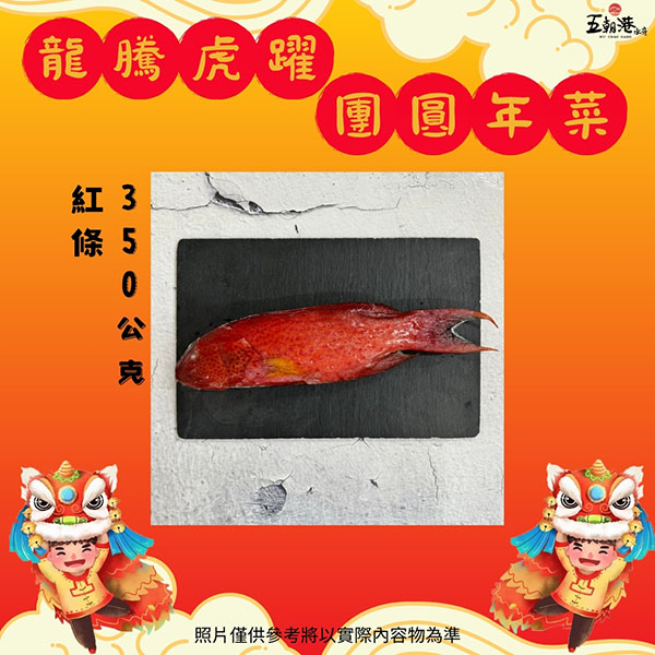 紅條魚/珊瑚石斑